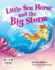 Little Sea Horse and the Big Storm (Paperback) - Anne Giulieri Photo