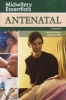 Antenatal, Volume 2 (Paperback) - Helen Baston Photo