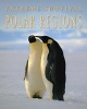 Polar Regions (Paperback) - Sally Morgan Photo