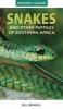 Snakes and Reptiles of Southern Africa (Paperback) - Bill Branch Photo