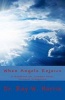 When Angels Rejoice - Common Sense Personal Evangelism (Paperback) - Dr Roy W Harris Photo