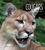 Cougars (Paperback) - Melissa Gish Photo