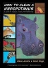 How to Clean a Hippopotamus - A Look at Unusual Animal Partnerships (Paperback) - Steve Jenkins Photo