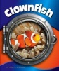 Clownfish (Hardcover) - Kara L Laughlin Photo