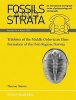 Trilobites of the Middle Ordovician Elnes Formation of the Oslo Region, Norway (Paperback) - Thomas Hansen Photo