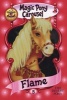 Flame the Desert Pony (Paperback, Harper Trophy) - Poppy Shire Photo