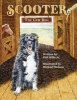 Scooter, the Cow Dog - A Time to Listen and Learn (Paperback) - Jr Phil Mills Photo