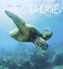 Living Wild: Sea Turtles (Paperback) - Melissa Gish Photo