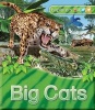 Explorers: Big Cats (Paperback, Main Market Ed. - UK edition) - Claire Llewellyn Photo