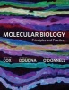 Molecular Biology - Principles and Practice (Hardcover, International ed) - Michael M Cox Photo