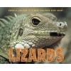 Sneed B. Collard III's Most Fun Book Ever About Lizards (Paperback) - Sneed B Collard III Photo