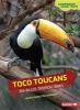 Toco Toucans - Big-Billed Tropical Birds (Paperback) - Laura Hamilton Waxman Photo