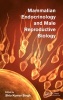 Mammalian Endocrinology and Male Reproductive Biology (Hardcover) - Shio Kumar Singh Photo