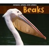 Beaks (Paperback) - Rebecca Rissman Photo