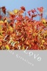 Lia's Love (Paperback) - Dorita Lynn Kornelsen Photo