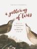 A Gathering of Larks - Letters to Saint Francis from a Modern-Day Pilgrim (Paperback) - Abigail Carroll Photo