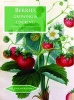 Berries - Growing & Cooking (Paperback) - Jane Mcmorland Hunter Photo