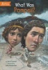 What Was Pompeii? (Hardcover, Turtleback Scho) - Jim OConnor Photo