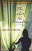 The Air We Breathe (Paperback) - Christa Parrish Photo