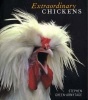 Extraordinary Chickens (Paperback, New edition) - Stephen Green Armytage Photo