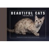 Beautiful Cats Postcard Book - 30 Postcards of Champion Breeds to Keep or to Send (Paperback) - Andrew Perris Photo