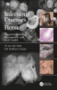 Infectious Diseases of the Horse - Diagnosis, Pathology, Management, and Public Health (Hardcover) - J H van der Kolk Photo