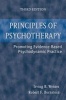 Principles of Psychotherapy - Promoting Evidence-Based Psychodynamic Practice (Hardcover, 3rd Revised edition) - Irving B Weiner Photo