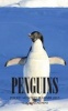 Penguins Pocket Monthly Planner 2017 - 16 Month Calendar (Paperback) - David Mann Photo