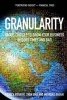 Granularity - Smart Choices to Grow Your Business in Good Times and Bad (Paperback) - Patrick Viguerie Photo