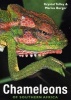 Chameleons of Southern Africa (Paperback) - Krystal Tolley Photo