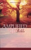 Amplified Bible (Paperback) - Zondervan Photo