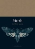 Moth (Paperback) - Matthew Gandy Photo