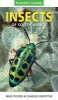 Pocket Guide Insects of South Africa (Paperback) - Mike Picker Photo