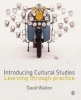 Introducing Cultural Studies - Learning Through Practice (Paperback) - David Walton Photo