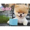 Boo the Dog (Hardcover) - JH Lee Photo