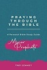 Praying Through the Minor Prophets (Paperback) - Troy Schmidt Photo