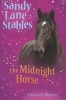 The Midnight Horse (Paperback) - Michelle Bates Photo