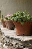 Charming Terracotta Flowerpots on a Stone Wall in Crete Greece Journal - 150 Page Lined Notebook/Diary (Paperback) - Cs Creations Photo