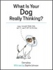 What is Your Dog Really Thinking? (Hardcover) - Sophie Johnson Photo