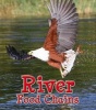 River Food Chains (Paperback) - Angela Royston Photo