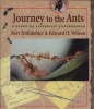 Journey to the Ants - A Story of Scientific Exploration (Paperback, Revised) - Bert Holldobler Photo