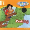 Pretdag, Vlak 1 Boek 3 (Afrikaans, Paperback) - Pearson Photo