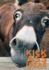 Kick Ass Ideas - A Journal for Kicking Butt (Paperback) - Tracy Cerza Photo