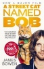 A Street Cat Named Bob - How One Man and His Cat Found Hope on the Streets (Paperback) - James Bowen Photo