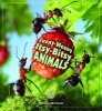 Teeny-Weeny Itsy-Bitsy Animals (Paperback) - John Parsons Photo