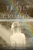 A Trail of Crumbs - A Novel of the Great Depression (Paperback) - Susie Finkbeiner Photo