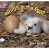 What's in the Egg? - Band 00/Lilac (Paperback) - Moira Butterfield Photo