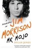 Mr Mojo - A Biography of Jim Morrison (Paperback) - Dylan Jones Photo