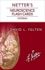 Netter's Neuroscience Flash Cards (Cards, 3rd Revised edition) - David L Felten Photo