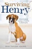 Surviving Henry - Adventures in Loving a Canine Catastrophe (Paperback) - Erin Taylor Young Photo